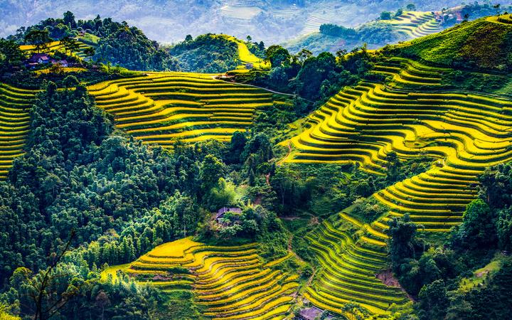 Hotspot Matrix: Biến Hiện trường kinh hoàng vụ tai thành cơ hội marketing đột phá